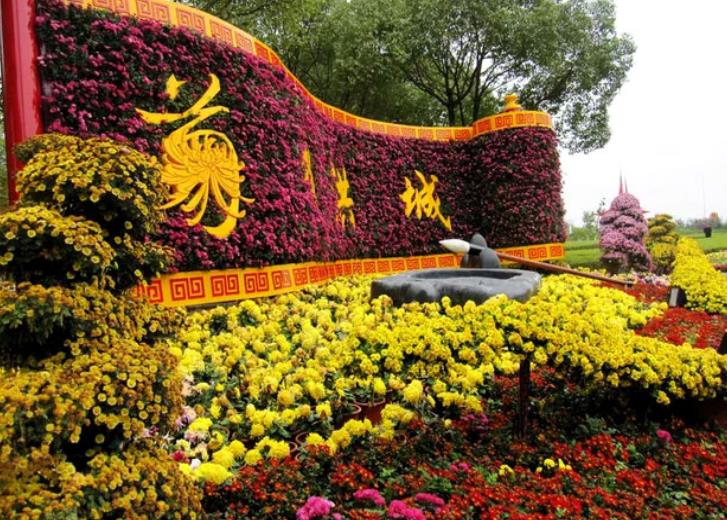 仿真植物綠雕制作廠家 仿真植物綠雕制作廠家