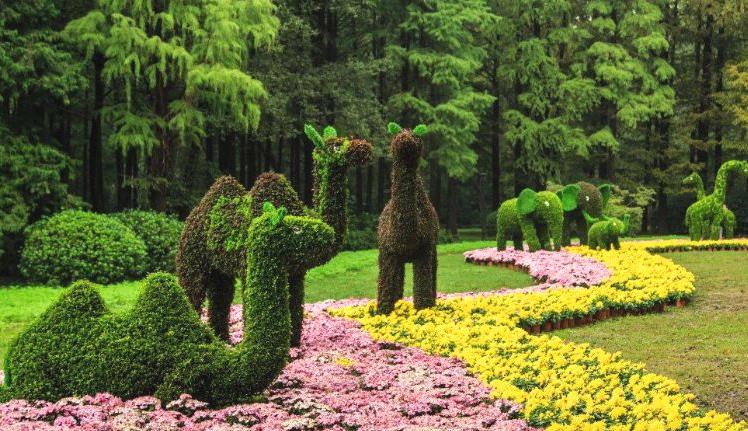 仿真植物綠雕制作廠家 仿真植物綠雕制作廠家