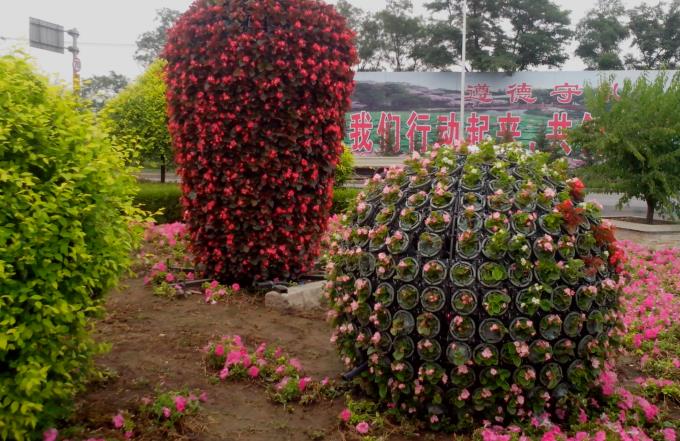 園藝全球 園藝全球