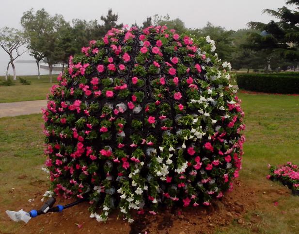 園藝全球 園藝全球